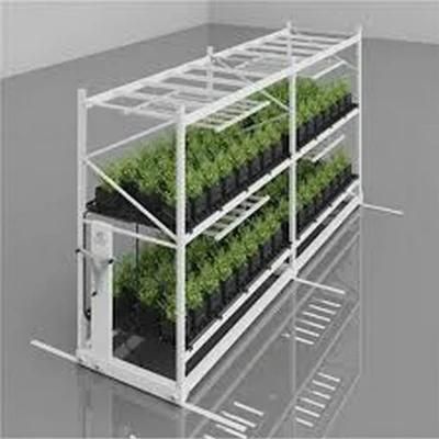 Greenhouse Manufacturing Hydroponic System Rolling Bench Tables Grow Rack for Indoor Growing System