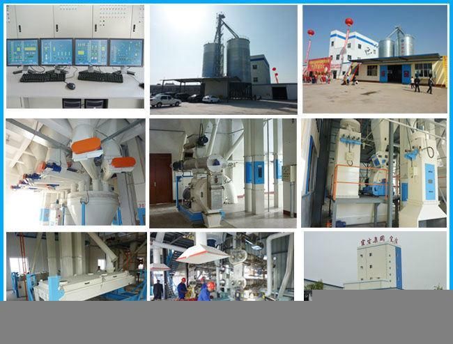 Premix Animal Feed Processing Plant for Additive Factory