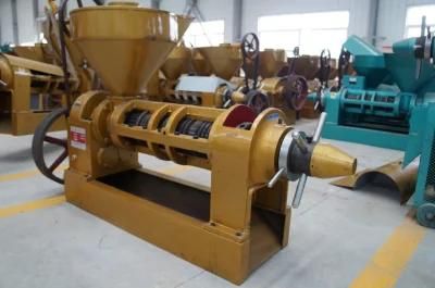 Factroy Price Oil Press Machine