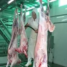 Ritual Lamb Meat Processing Equipment for Butcher Slaughterhouse