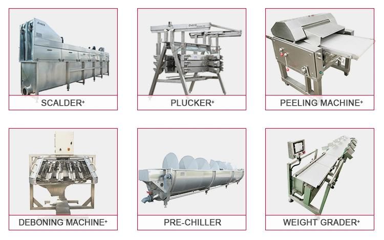 Halal Chicken Slaughter Line Poultry Machine Chicken Meat Processing Equipment