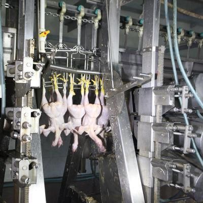 Raniche Broiler Chicken Slaughter Equipment/Scalding and Plucking Machine for Chicken Abattoir