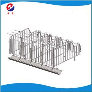 Animal Husbandry Equipment Sow Gestation Crate Pig Farming Gestation Pen/Hot Dipped Galvanized Sows Gestation Stalls