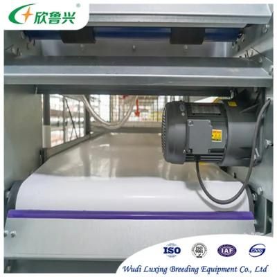 Poultry Farm Cleaning Manure Belt Conveyor Manure Removal System for Layer Cage