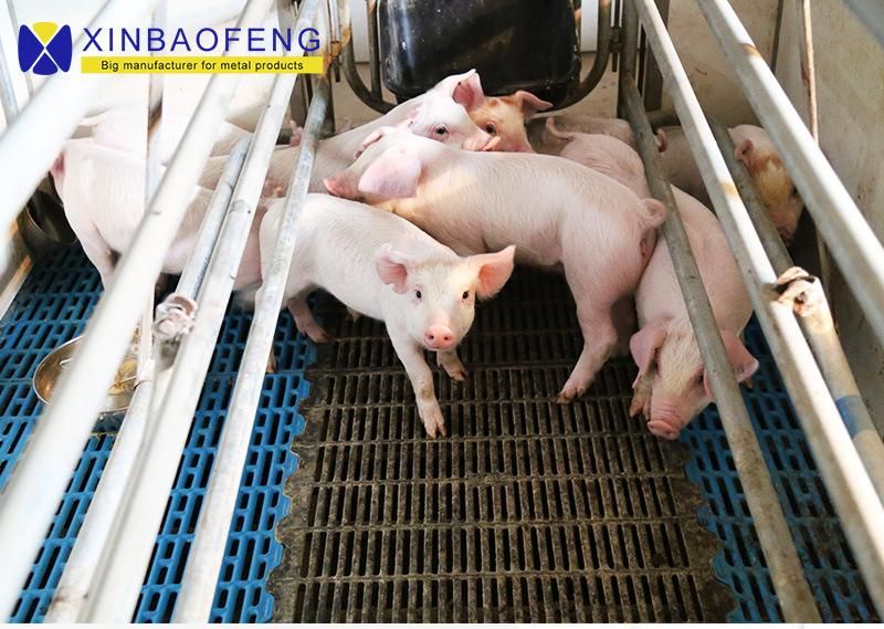 Pig Breeding Equipment Livestock Equipment Pig Farrowing Box Sow Farrowing Pen Manufacturer