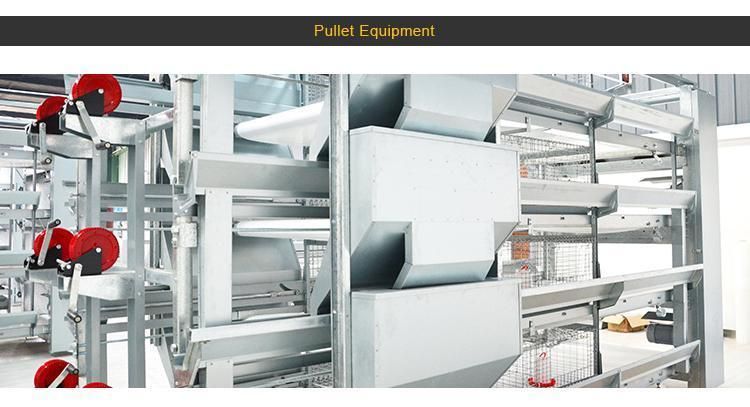 Double Layer Steel Structrue Chicken House