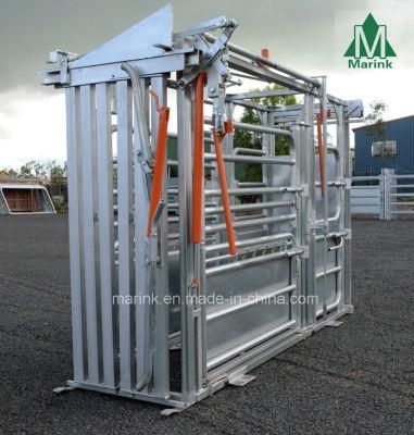 HDP or Powder Coated Cattle Squeeze Crush to Sale