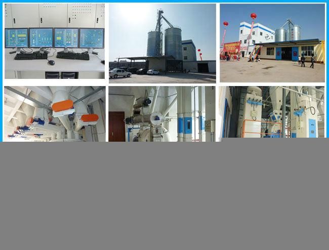 Automatic Animal Feed Extruder / Pet Food Pellet Extrusion Machinery