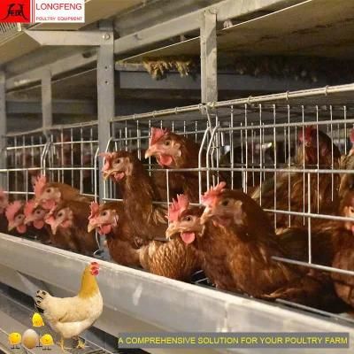 Hot Sale ISO9001: 2008 Approved 1 Year Warranty Longfeng China Farm Equipment Poultry Cage