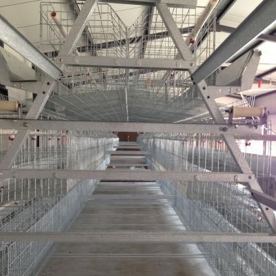 a Type Layer Cage Raising Equipment for 25000 Birds Layer Project