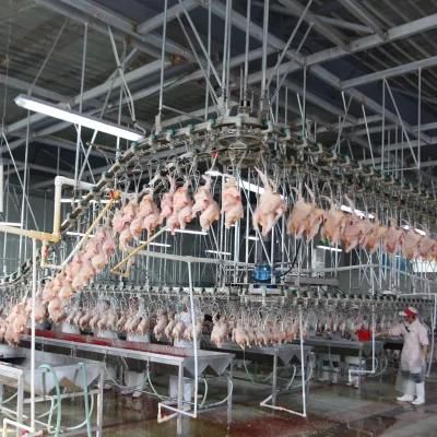 1500bph Industrial Chicken Processing Poultry Abattoir Machinery
