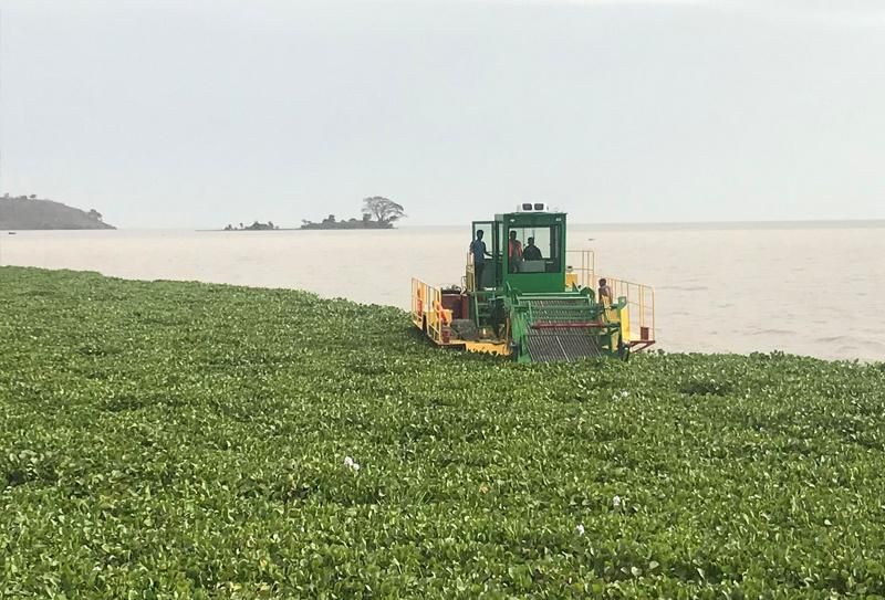 Floating Aquatic Weed Removing Ship Grass Harvester