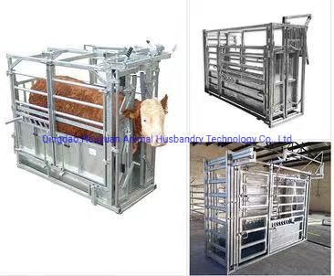 Hot DIP Galvanized Epidemic Prevention Hoof Trimming Weight Cattle Crush Cattle Squeeze