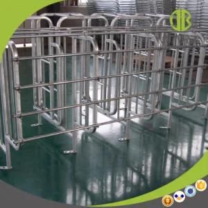 Highly Recommended Equipment Gestation Stall for Sale