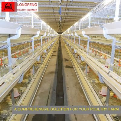 Nipple Drinking Line Professional Poultry Feeding Equipment Broiler Chicken Cage