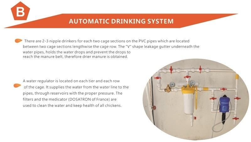 Chicken Cage Poultry Raising Equipment for Large Scale Poultry Farm