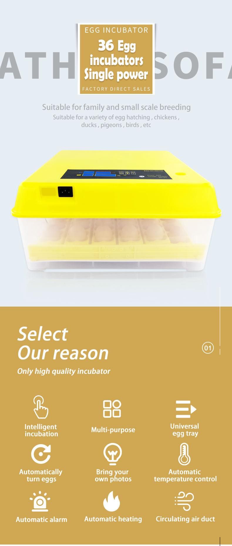 Tray and Divider Chicken Eggs Incubator with Automatic Pumping System Chicken Eggs Incubator