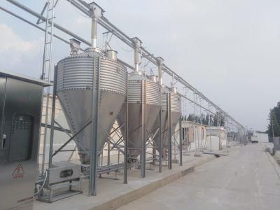 Automatic Pig Feeding Equipment Pig Farm Equipment