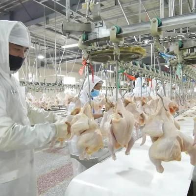 Chicken Slaughterhouse with Packing Machine for Slaughter House