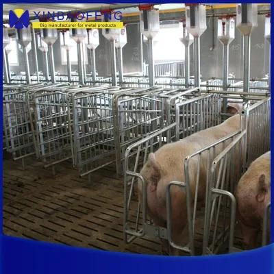 Competitive Price Best Quanlity Farrowing Sow Crate Pig Pens Pig Crate