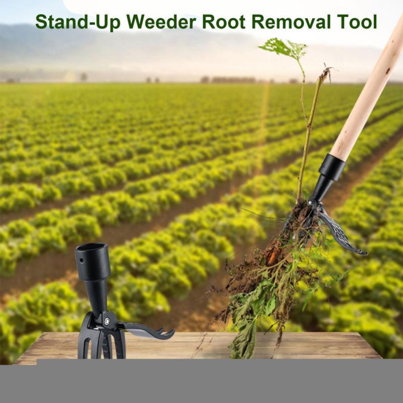 Easily Removes Weeds Weed Puller Removal Tool 4-Claw Steel Head Aluminum & Anti-Rust Wyz14583