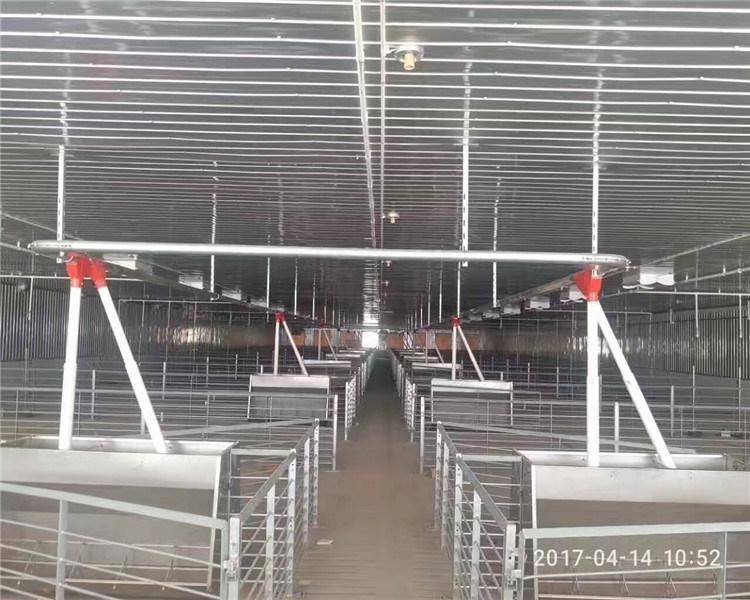 Pig Farm Designed Finishing Stall Fatten Crate