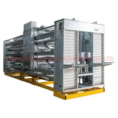 H Type Layer Cage Raising Equipment for 10000 Birds Layer Project
