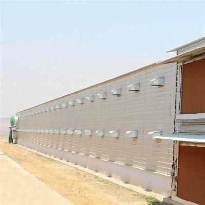 Technical New Designed One-Stop Service Automatic Poultry Equipment