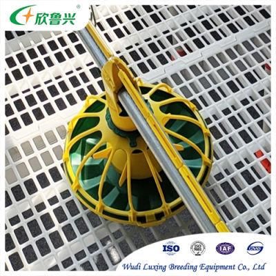 2021 Hot Sale Plastic Raised Slat Floor System for Chicken Farm House