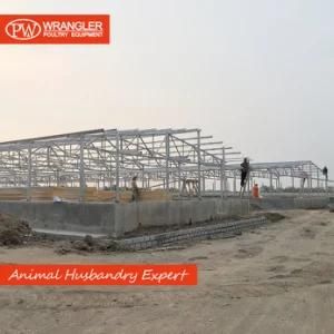 Heat Proof Commercial Chicken Poultry Shed Steel Structure Building