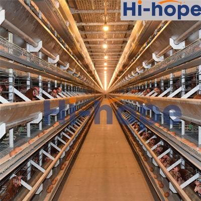 ISO Electric Hens 3 4 Tiers Layer Chicken Cage Layer Poultry Farming Equipment