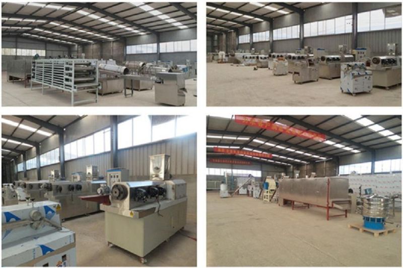 CE Certificated Dog/Cat Food Feed Processing Machine