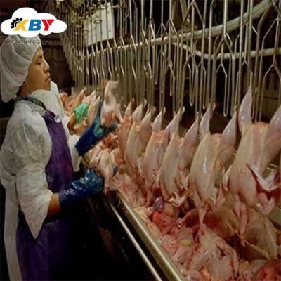 Good Selling Chicken Slaughter Equipment for Poultry Slaughterhouse