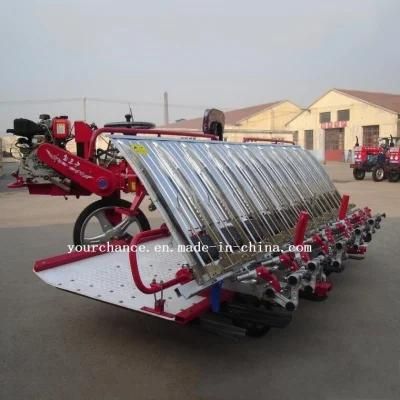 High Efficiency 2z-10238 10 Rows 238mm Rows Width Riding Type Rice Transpanter for Sale