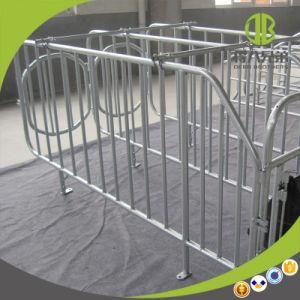 Quality Assurance Pig Steel Gestation Stall for Sow Gestation Crates