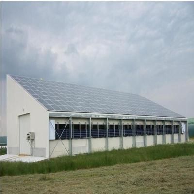 New Energy Solar Power Panel for Birdhouse