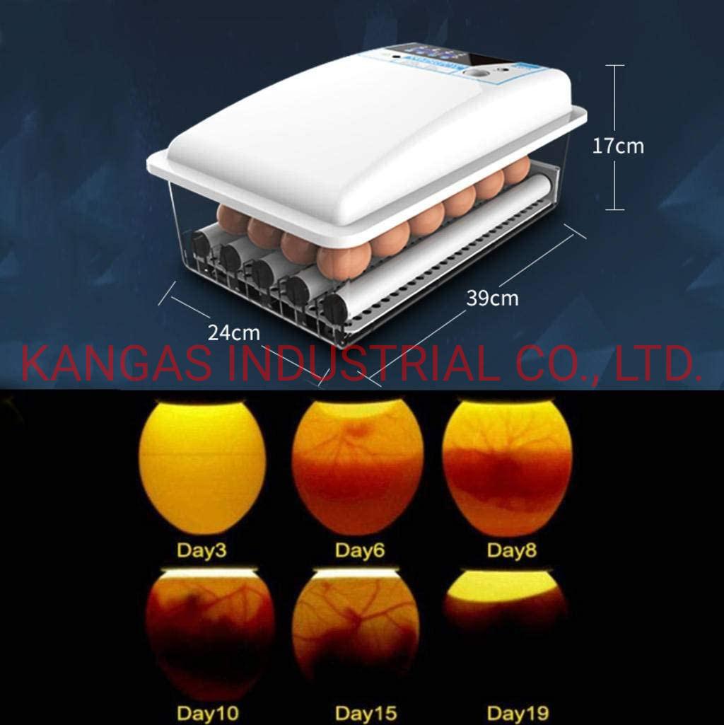 Mini Automatic Egg Incubator Chicken Duck Hatcher Laboratory Poultry Egg Incubator Temperature Hatchery Machine