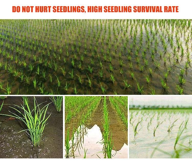 China Manufacturer High Efficient Rice Transplanter Planting Machine for Sale