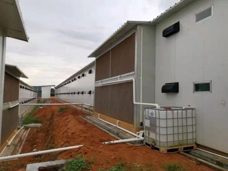 Chicken House Evaporative Cooling Pad for Greenhouse and Poultry Farm