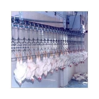 Factory Price Chicken Poultry Plucker Slaughtering Machine Abattoir