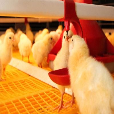 Prefabricated Quickly Installed High Tech Easy Feeding Meat Chicken Farm