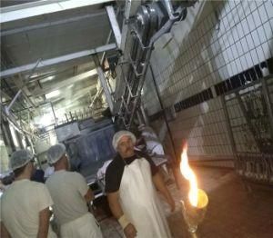 Shaking Type Scalding Machine for Pig Hair Removal