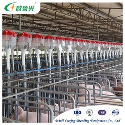 Galvanized Pig Farrowing Crates Pen Flooring Stall Bed Sow Equipment for Sale
