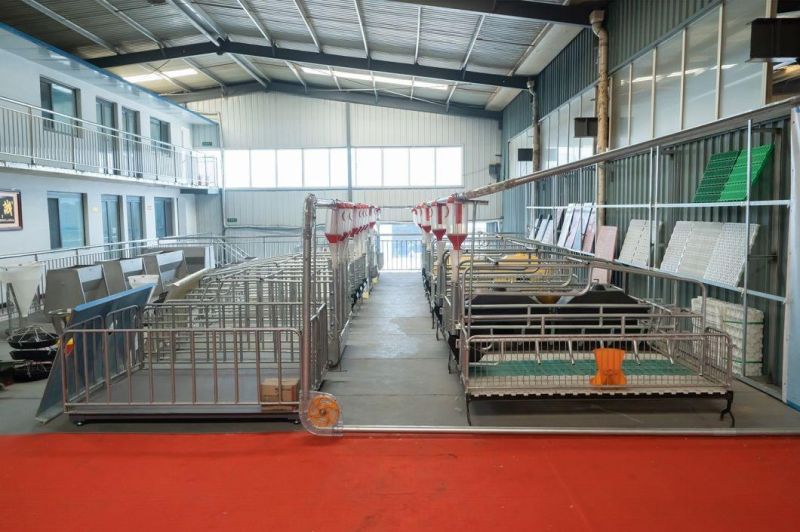 Galvanized Adjustable Sow Farrowing Crate Pig Cages