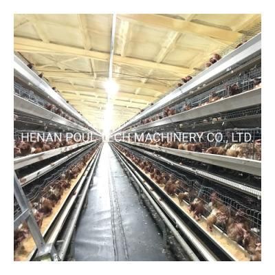Egg Laying Hen Battery Layer Cage for Poultry Farm Chicken Cage