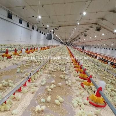 Chicken Farm Complete Setup Broiler Chicken Feeding/Drinking/Ventilation/Environment System