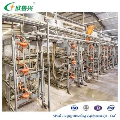 Broiler Automatic System Chicken Farm H Type Battery Chicken Coop Broiler Cage