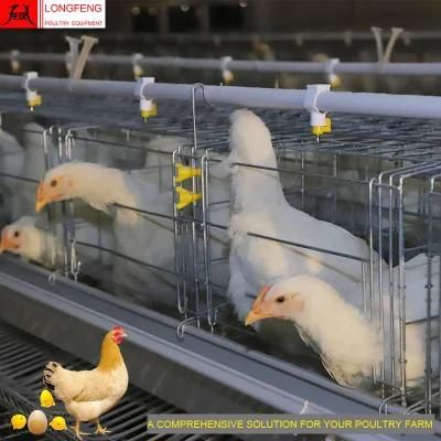 90 Birds, 120birds, 160birds Farming Longfeng Poultry Feeding Equipment Battery Chicken Cage