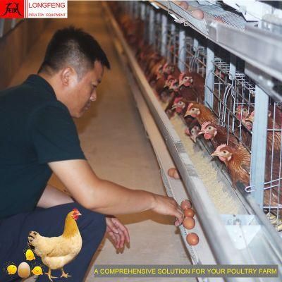 Factory China Farming Longfeng Farms Farm Cages Poultry Feeding Equipment Layer Cage 9LCD-4128