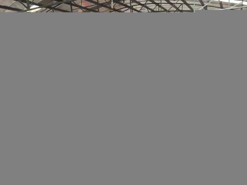 4 or 6 Way Wedge Engine Log Splitter Wood Processor Rima Firewood